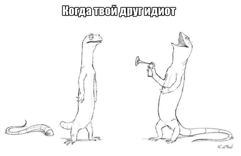 Прикольные картинки