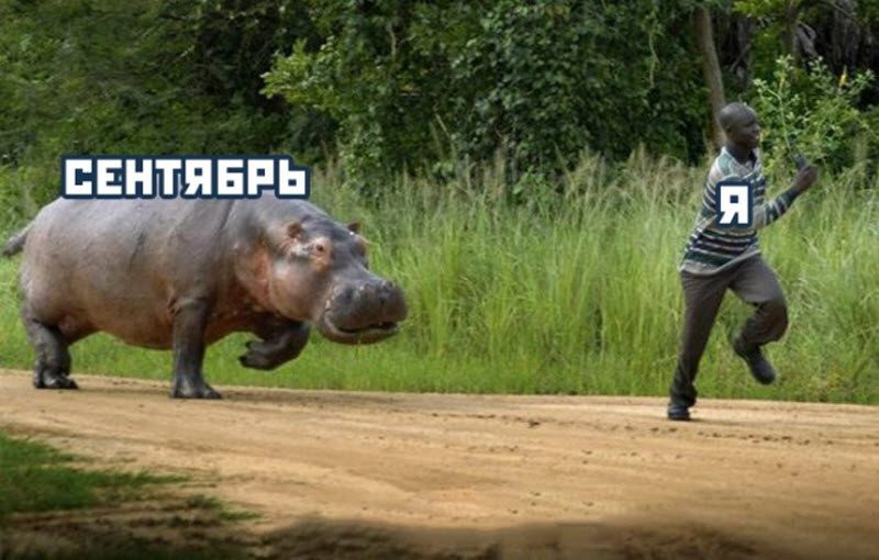 Прикольные картинки