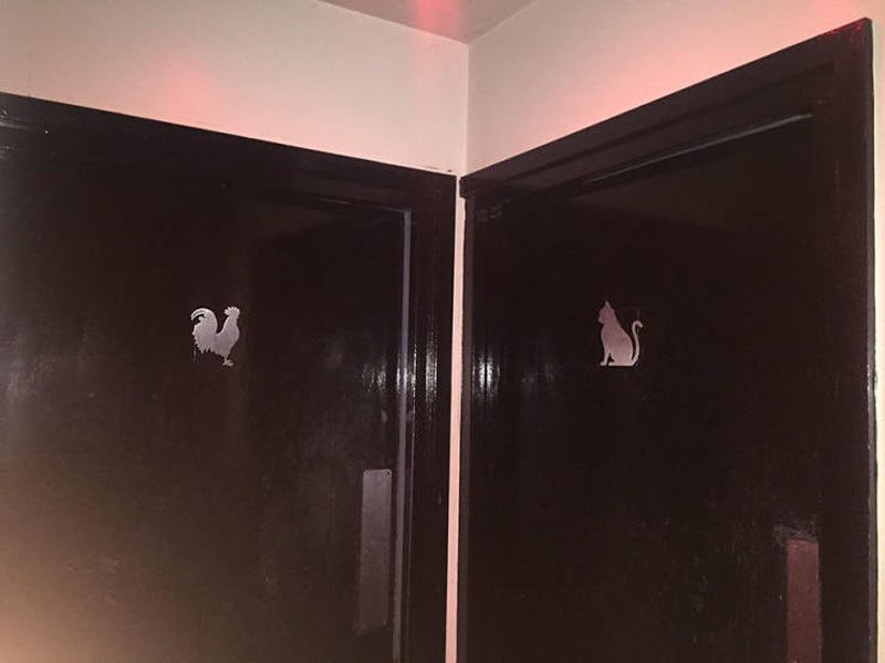 Прикольные картинки