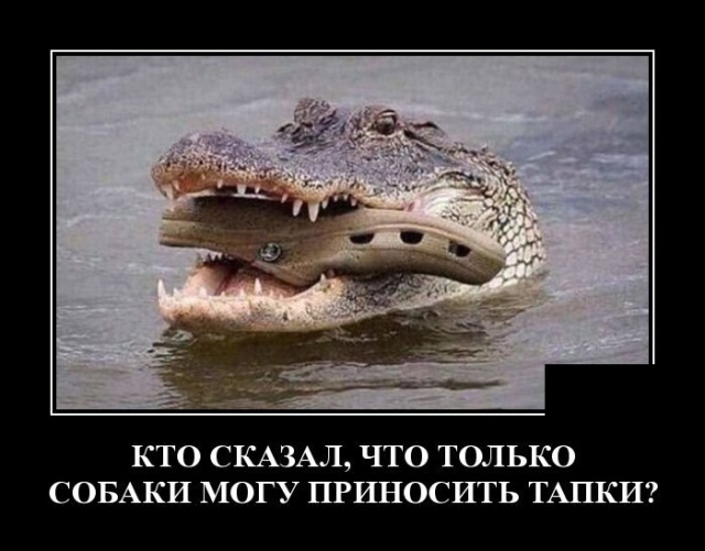 Демотиваторы