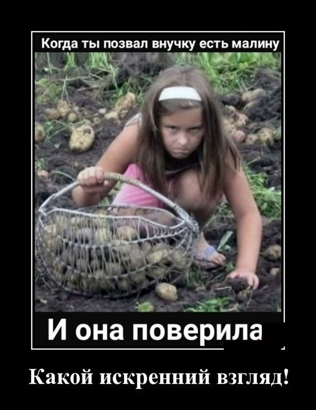 Демотиваторы