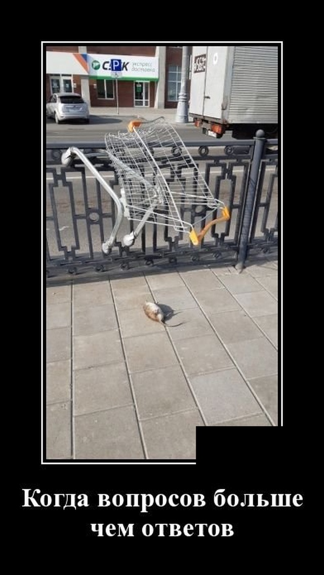 Демотиваторы