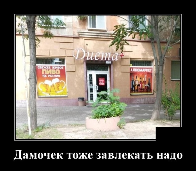 Демотиваторы