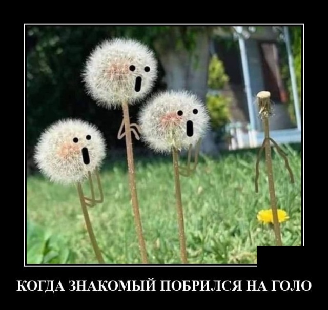 Демотиваторы
