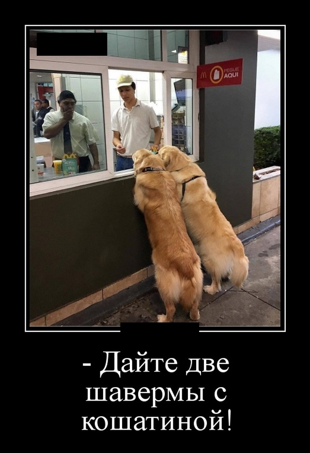 Демотиваторы