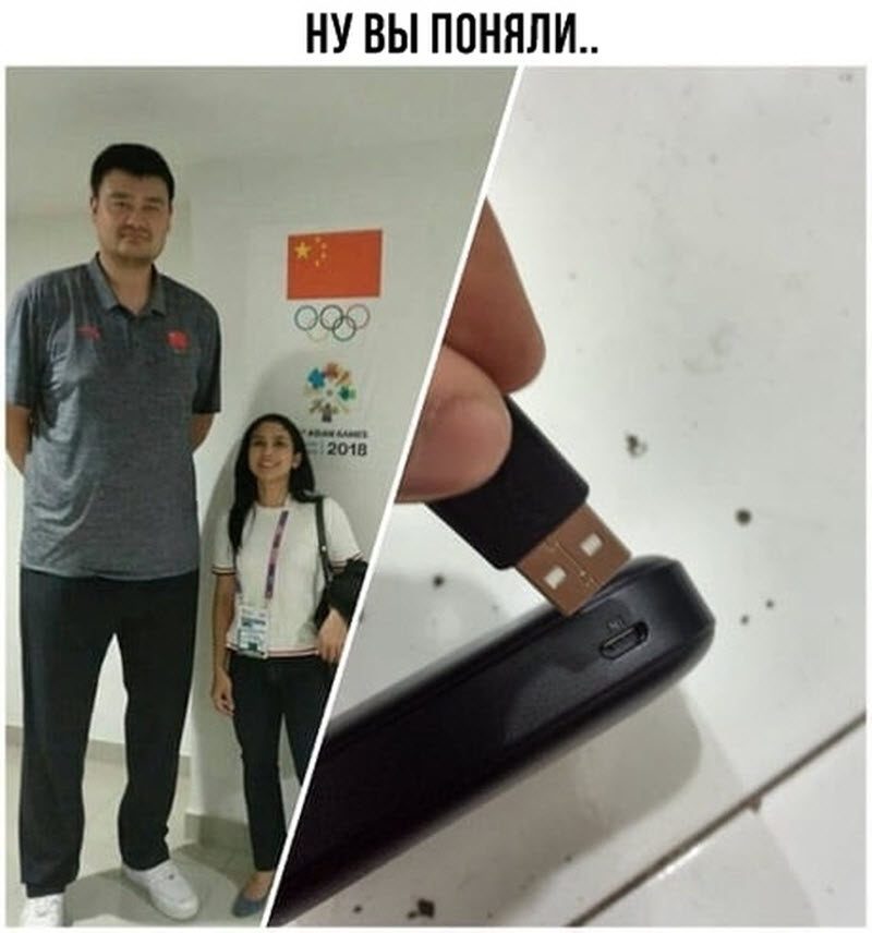 Прикольные картинки