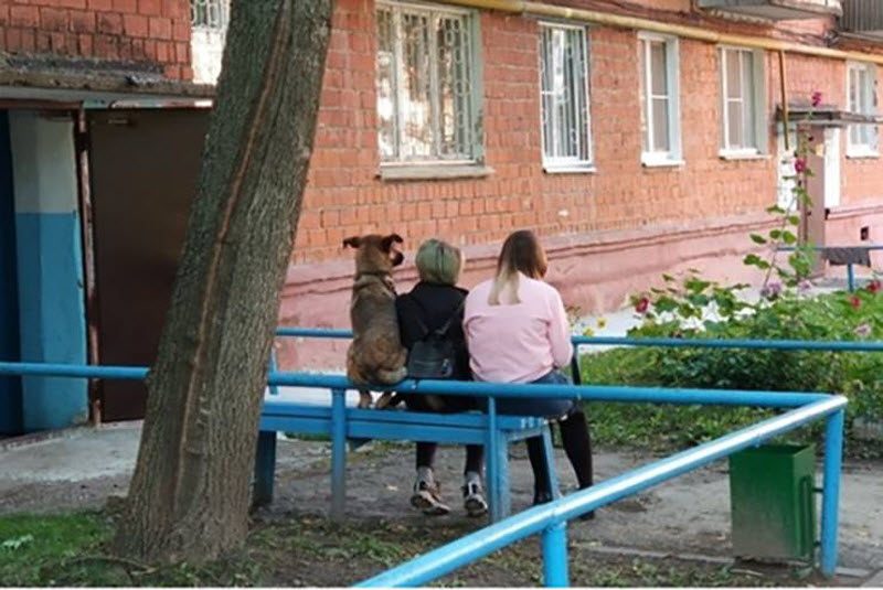 Прикольные картинки
