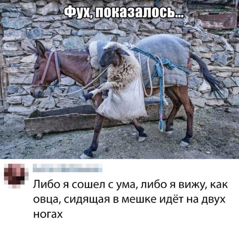 Прикольные картинки