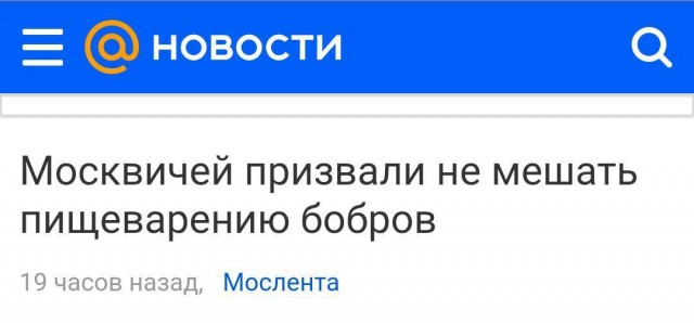 Забавные и странные заголовки, которые заставят вас улыбнуться
