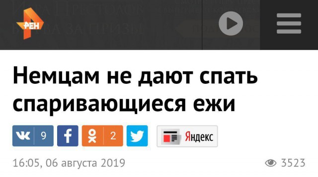 Забавные и странные заголовки, которые заставят вас улыбнуться