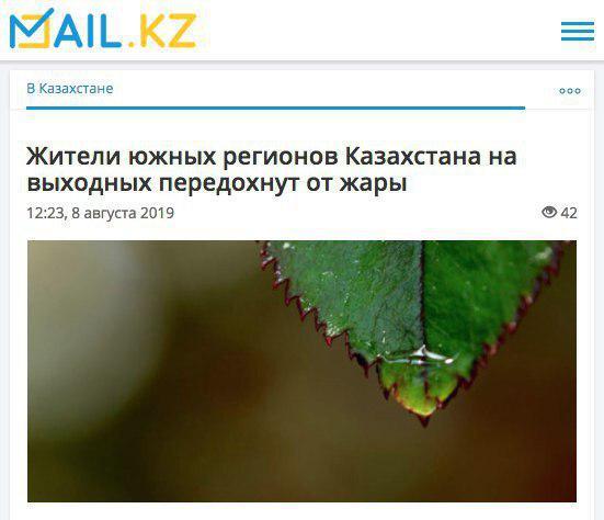 Забавные и странные заголовки, которые заставят вас улыбнуться