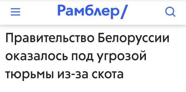 Забавные и странные заголовки, которые заставят вас улыбнуться