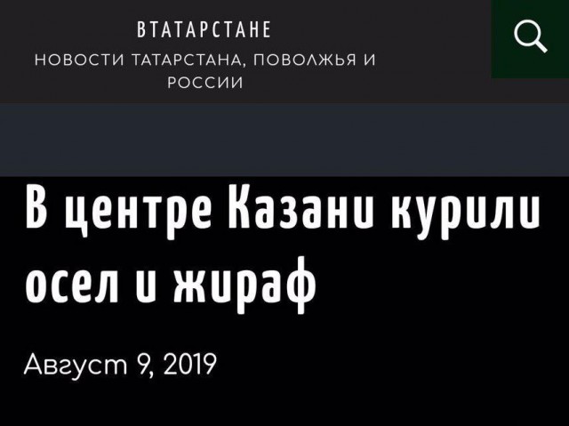 Забавные и странные заголовки, которые заставят вас улыбнуться