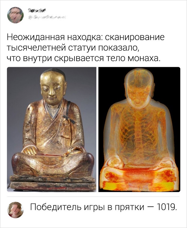 Подборка ехидных и забавных комментариев из Сети