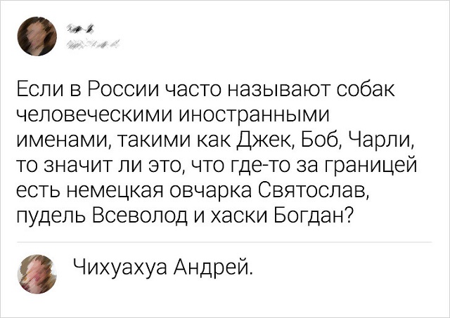 Подборка ехидных и забавных комментариев из Сети