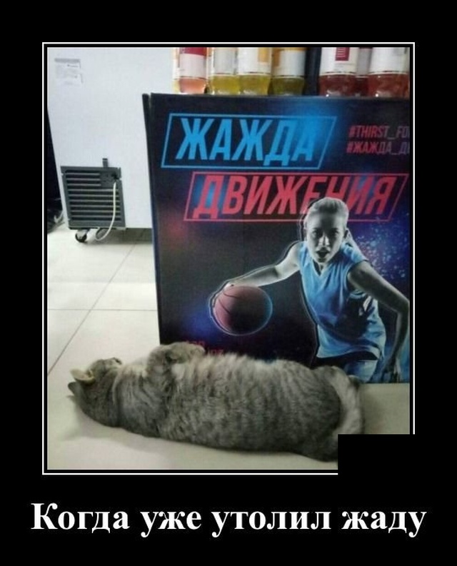Демотиваторы