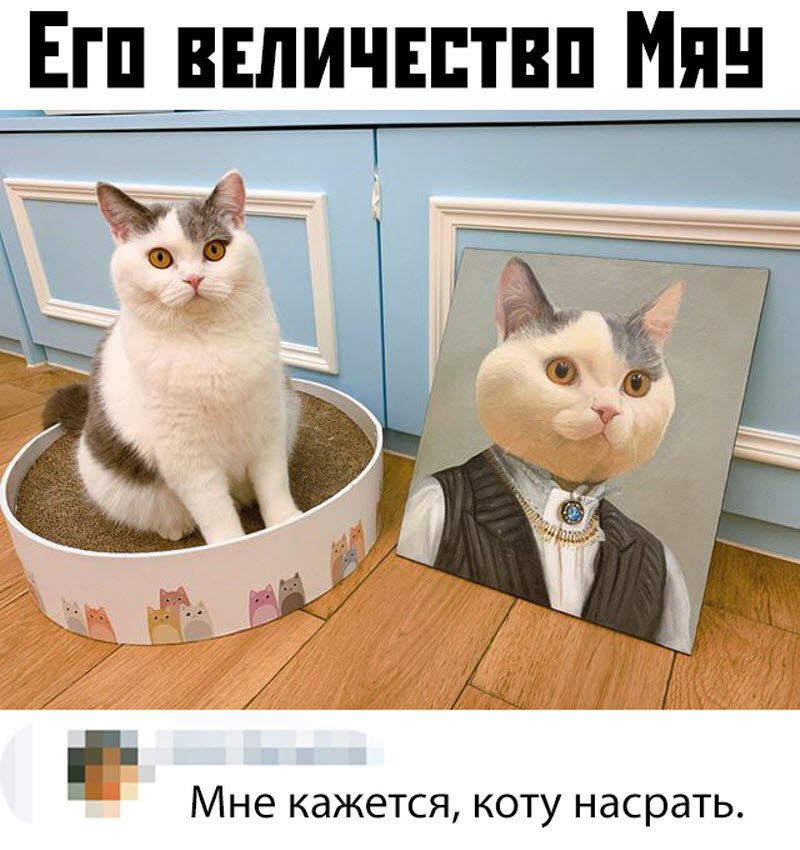 Прикольные картинки 