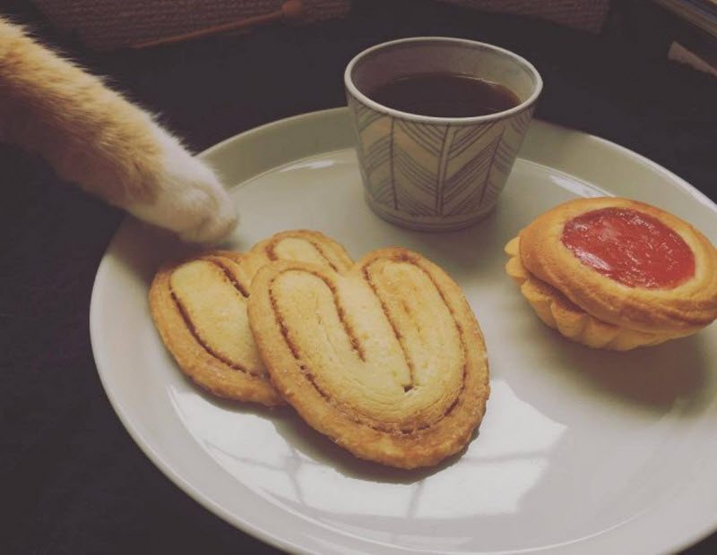 Прикольные картинки 