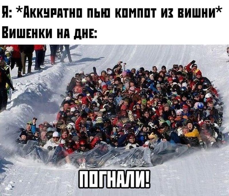 Прикольные картинки 