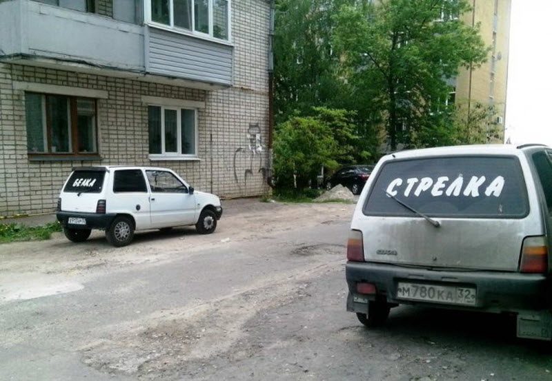 Прикольные картинки 