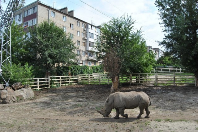 Снимки с просторов нашей бескрайней