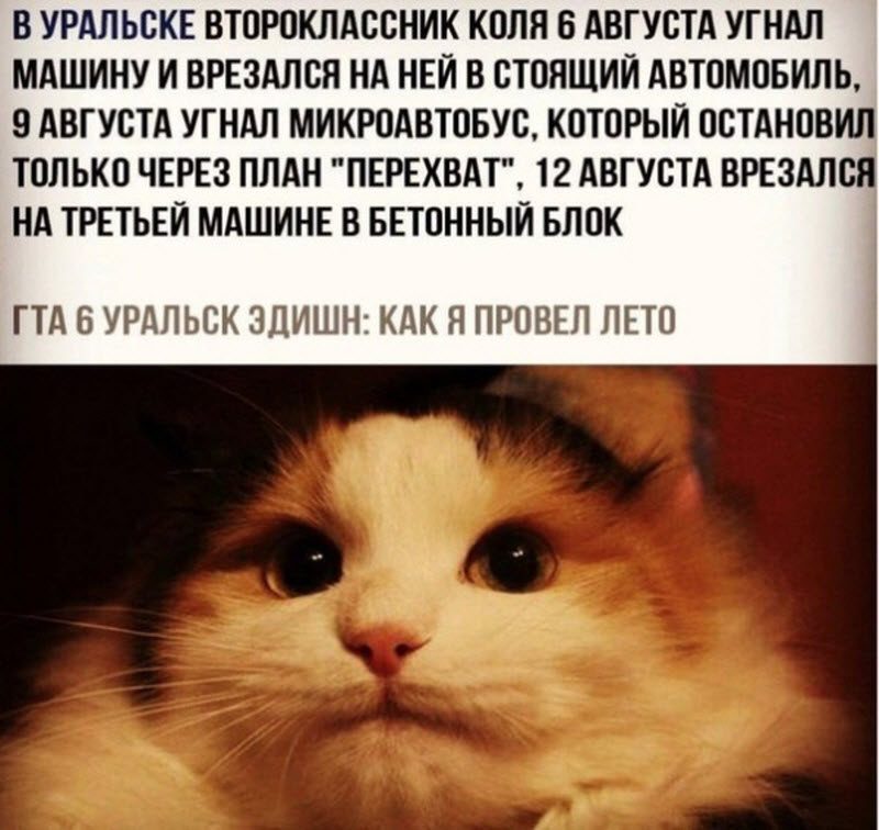 Прикольные картинки