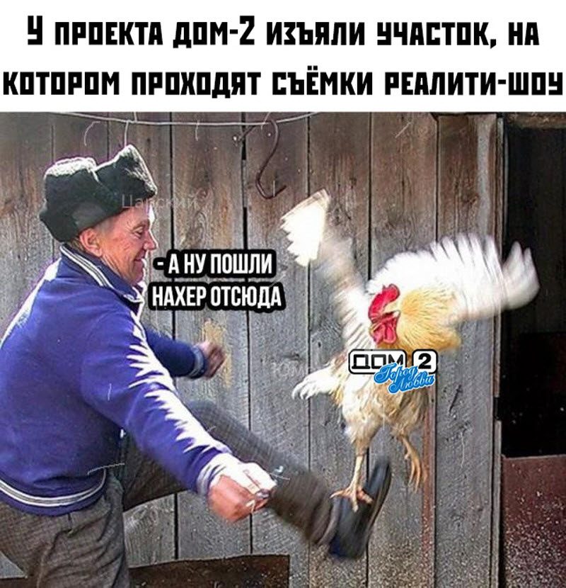 Прикольные картинки