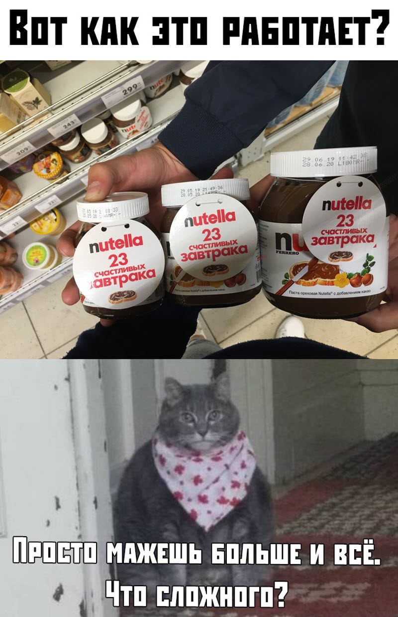 Прикольные картинки