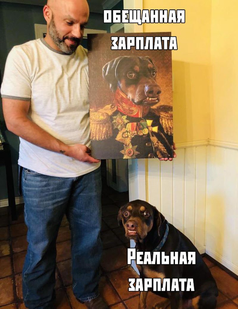 Прикольные картинки