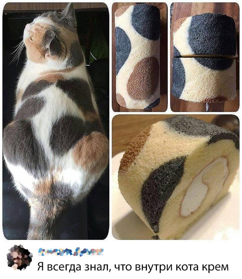 Прикольные картинки