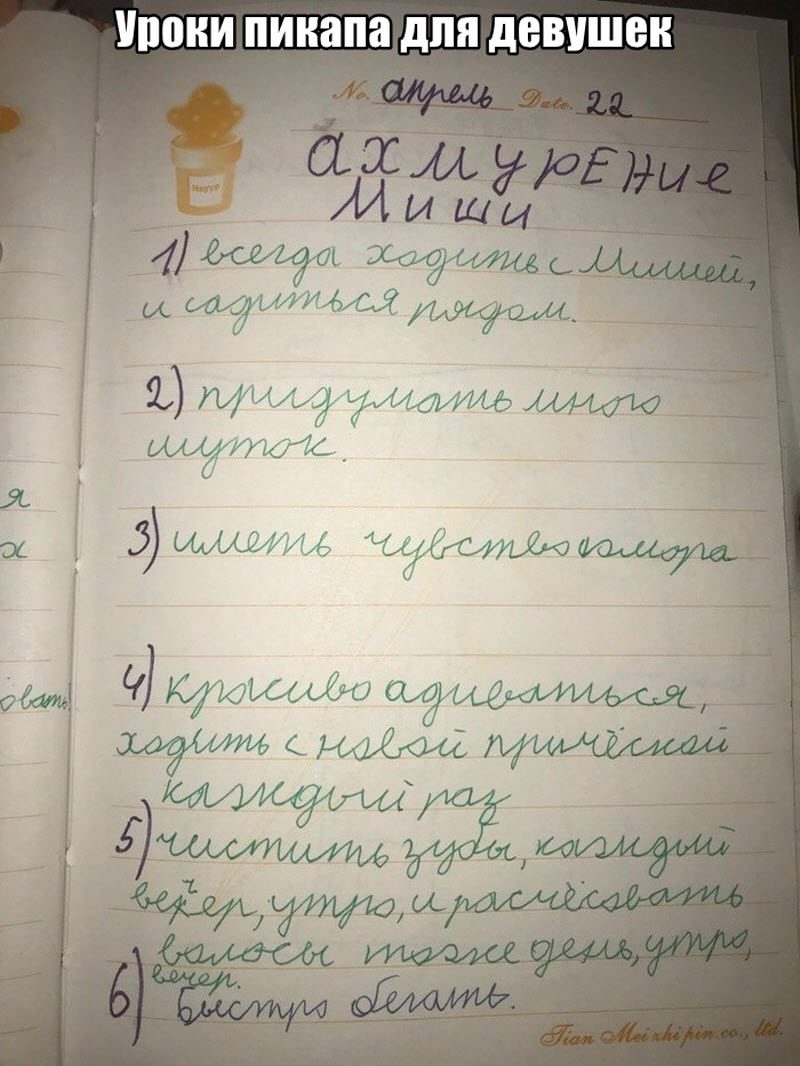 Прикольные картинки
