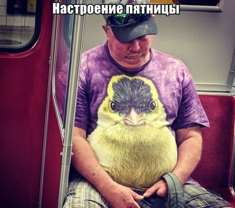 Прикольные картинки