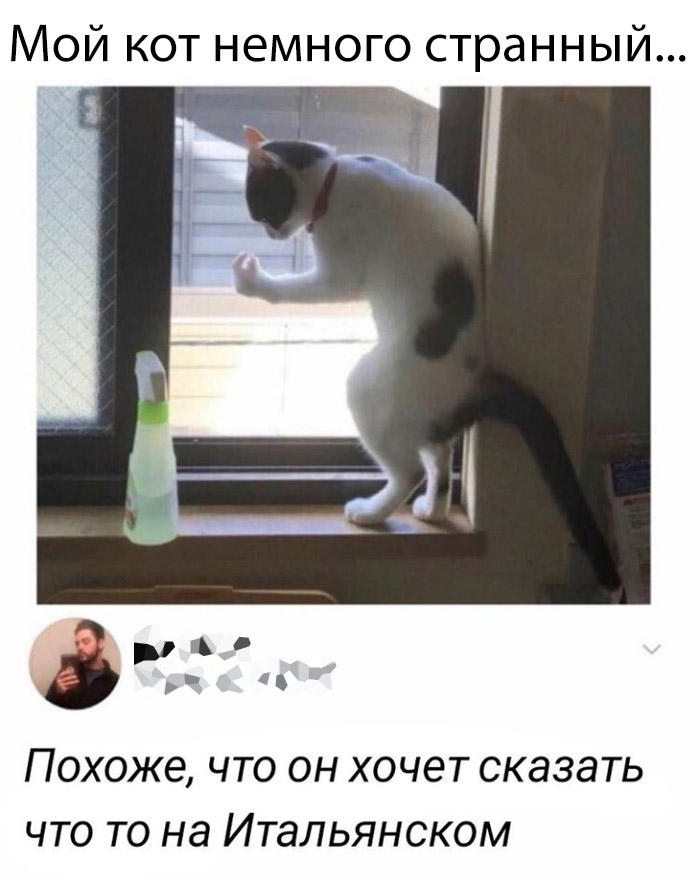 Прикольные картинки