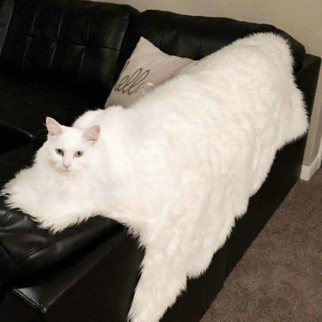 Не верьте своим глазам