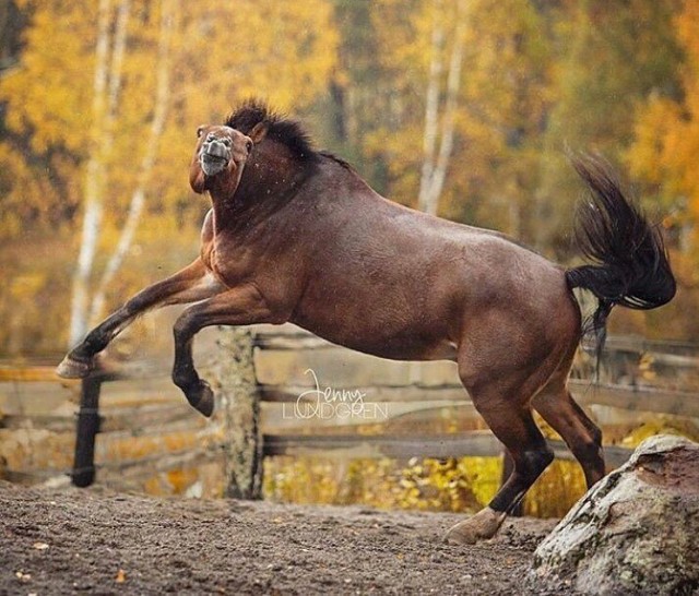 Не верьте своим глазам