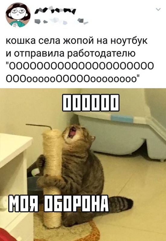Прикольные картинки