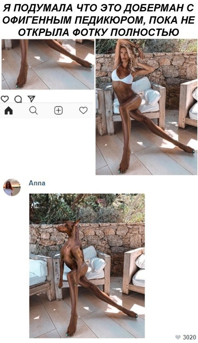 Прикольные картинки