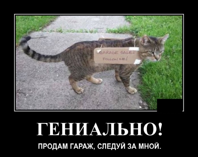 Демотиваторы