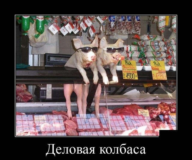 Демотиваторы