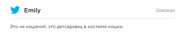 Мистер БиДжей - беспородный кот-великан из Филадельфии