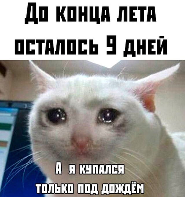 Подборка картинок