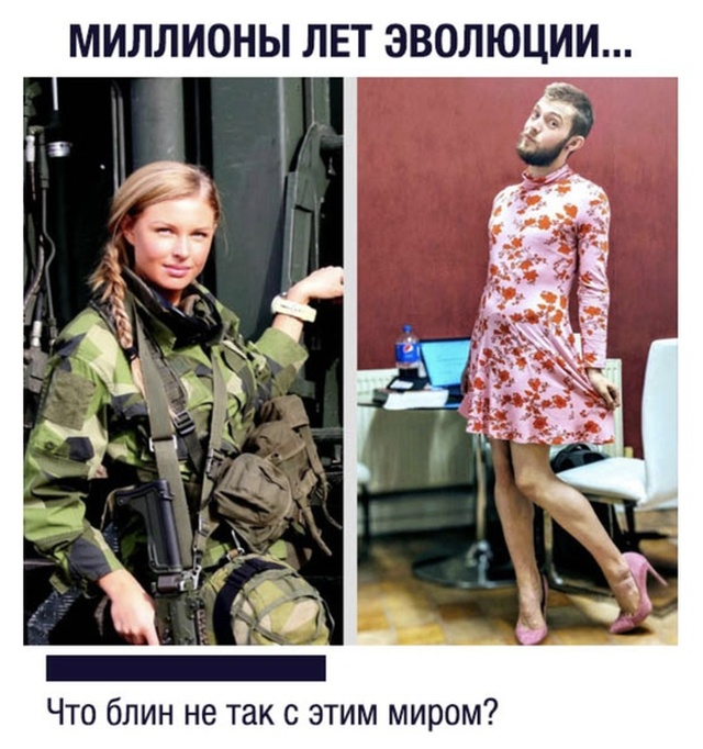 Подборка картинок