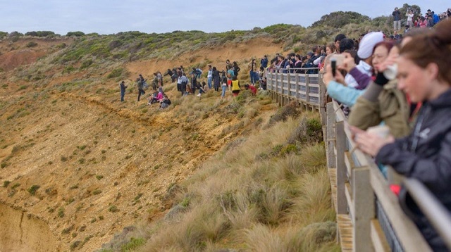 Именно из-за таких людей во многих странах недолюбливают туристов