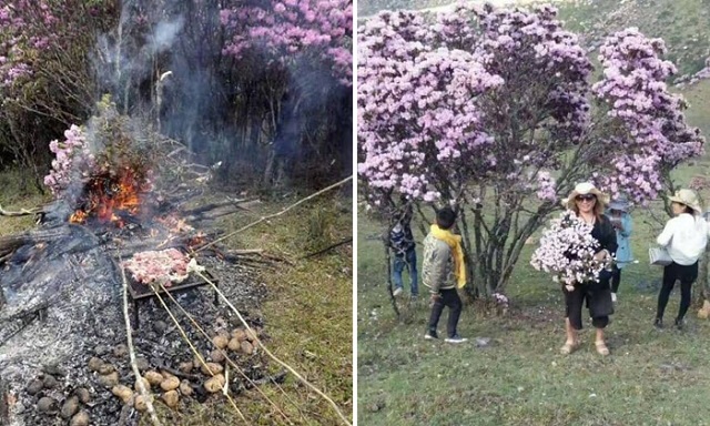 Именно из-за таких людей во многих странах недолюбливают туристов