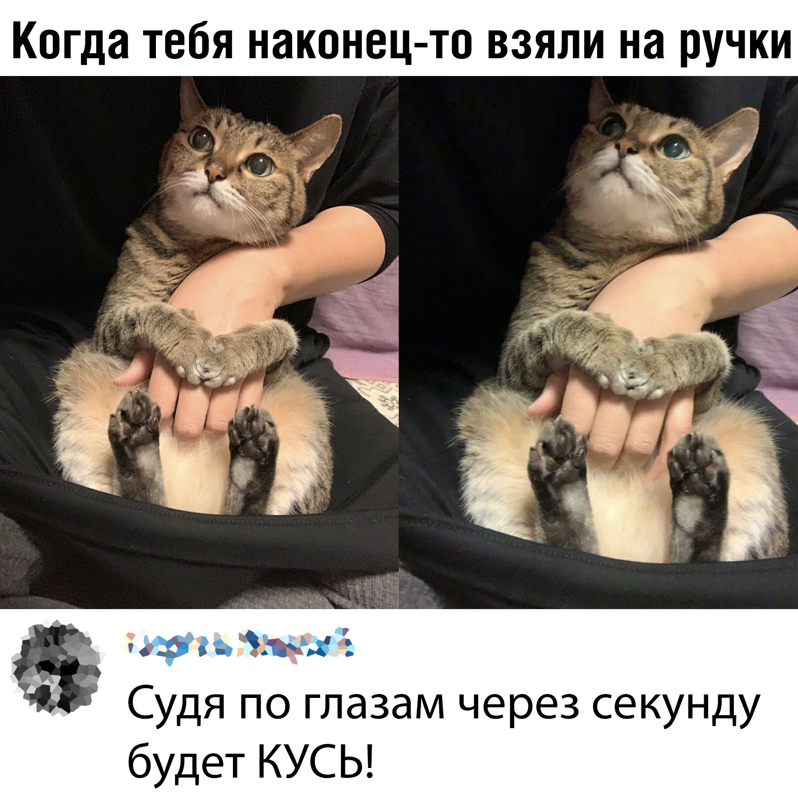 Подборка картинок. Вечерний выпуск