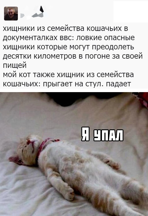 Подборка картинок. Вечерний выпуск