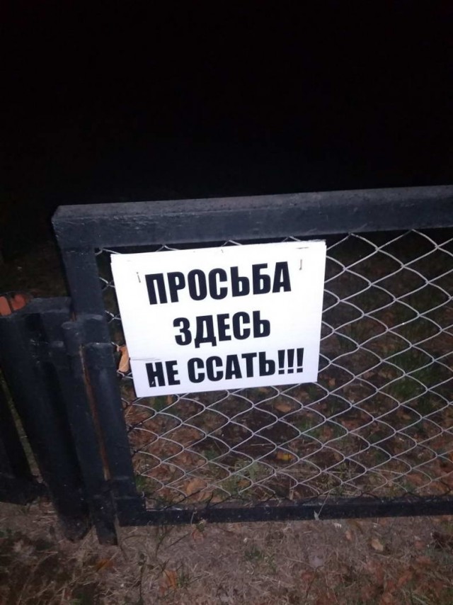Подборка картинок. Вечерний выпуск