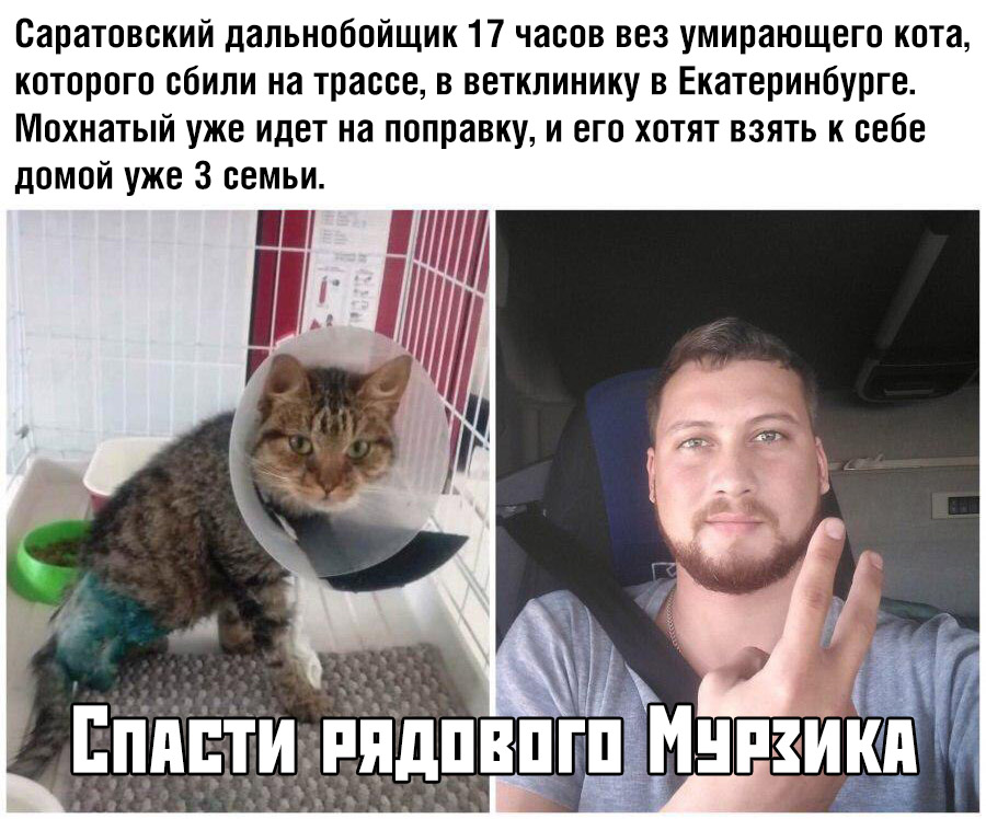 Подборка картинок. Вечерний выпуск