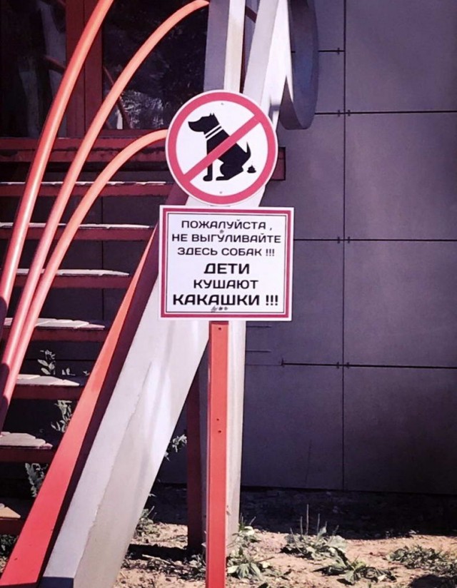 Подборка картинок. Вечерний выпуск