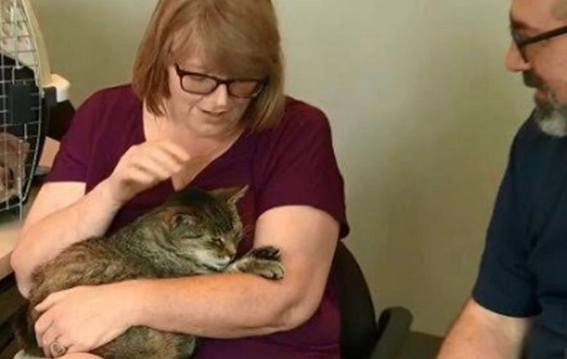 Кот-скиталец вернулся домой после 11 лет странствий Кот-скиталец вернулся домой после 11 лет странствий